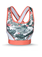 Gym Bra