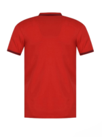 Polo Shirts - Image 2